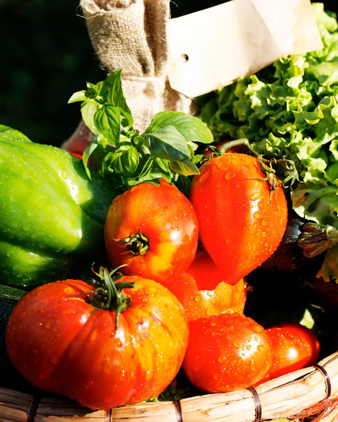 Order farm-fresh fruits, vegetables, dairy, and more across New York & Tri-State at Zafar Produce.