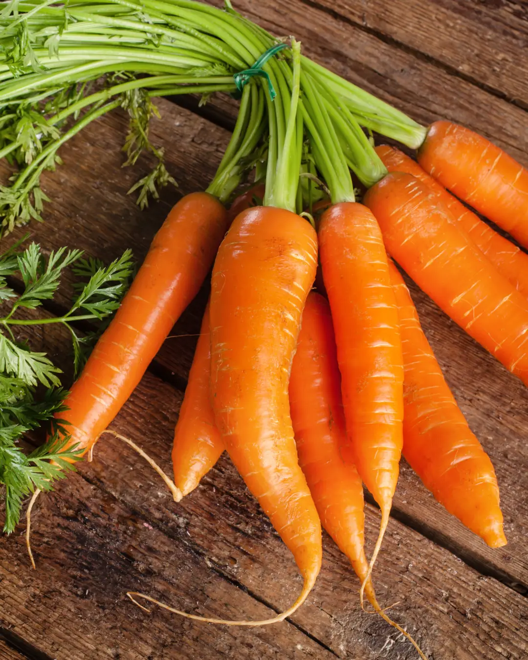 Zafar Produce Products include fresh fruits, vegetables, dairy, meats, and seafood delivered across New York & Tri-State